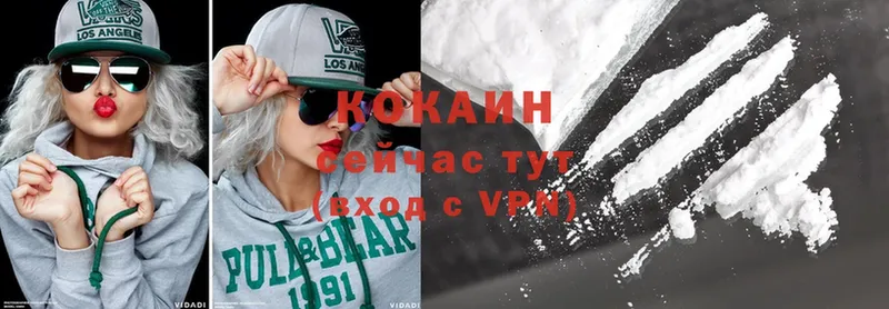 купить закладку  Кострома  Cocaine Fish Scale 